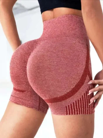 SleekFit Seamless Yoga Shorts